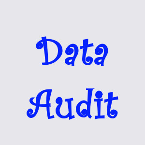 Data Audit