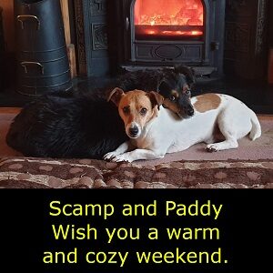 Something Completely Different - Picture of two small dogs, a Jack Russell Terrier and a Hairy Terrier, lying in front of a small domestic stove with a warm fire in it. The hairy terrier is resting his head on the back of the Jack Russell and both are looking at the camera.